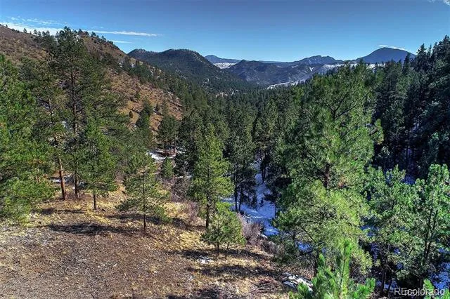 6 Turret Peak Trail Pine, CO 80470