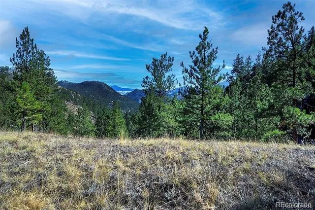 6 Turret Peak Trail Pine, CO 80470
