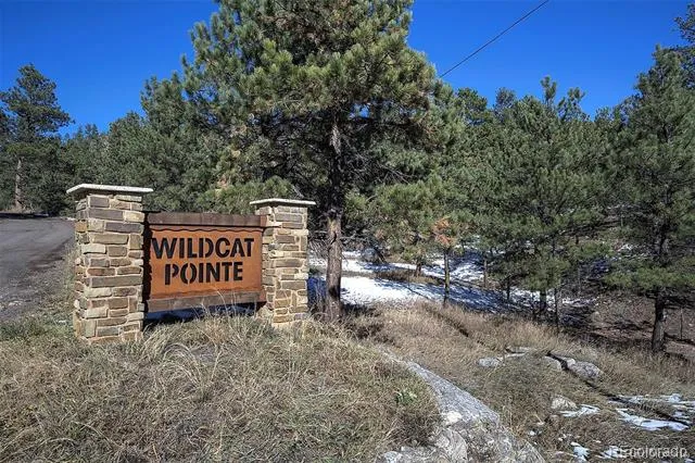 6 Turret Peak Trail Pine, CO 80470