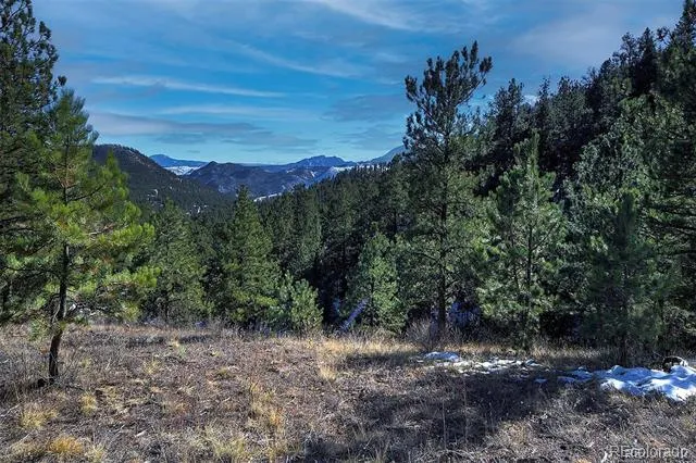 6 Turret Peak Trail Pine, CO 80470