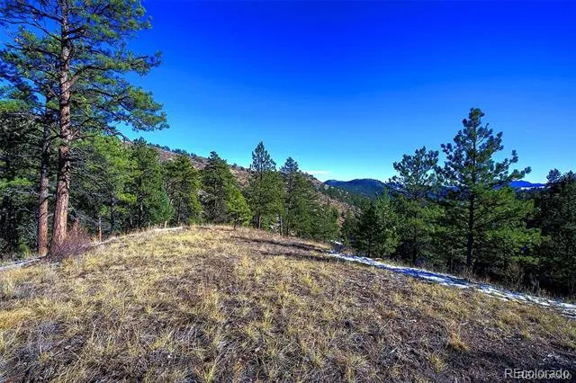 6 Turret Peak Trail Pine, CO 80470