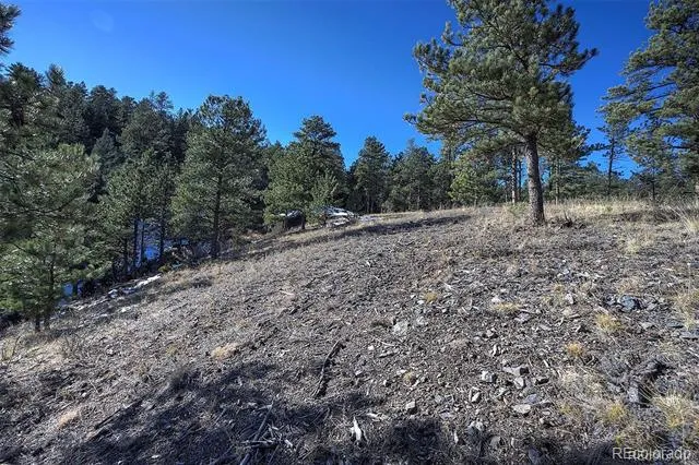 6 Turret Peak Trail Pine, CO 80470
