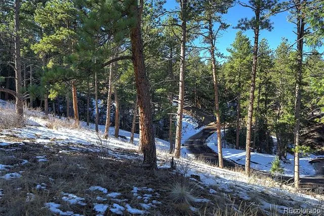 6 Turret Peak Trail Pine, CO 80470
