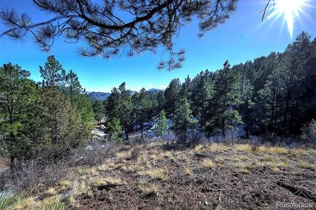 6 Turret Peak Trail Pine, CO 80470