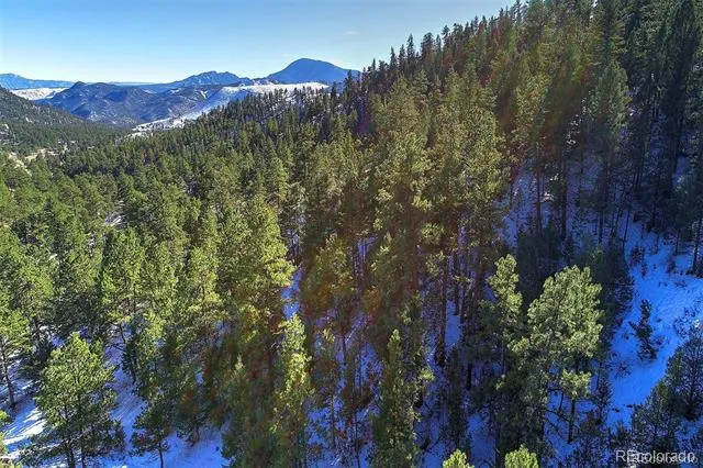 6 Turret Peak Trail Pine, CO 80470