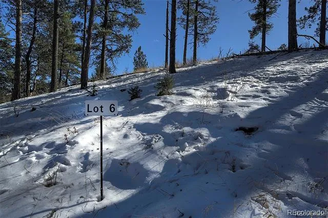 6 Turret Peak Trail Pine, CO 80470