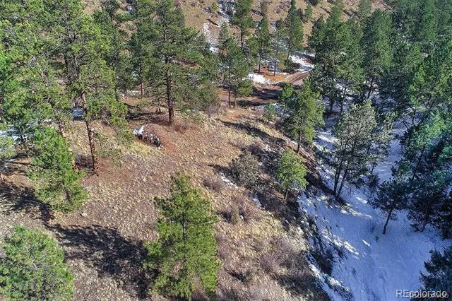 6 Turret Peak Trail Pine, CO 80470