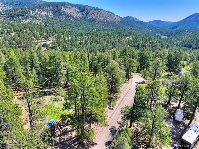 281 Kings Evergreen, CO 80439
