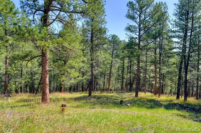 281 Kings Evergreen, CO 80439