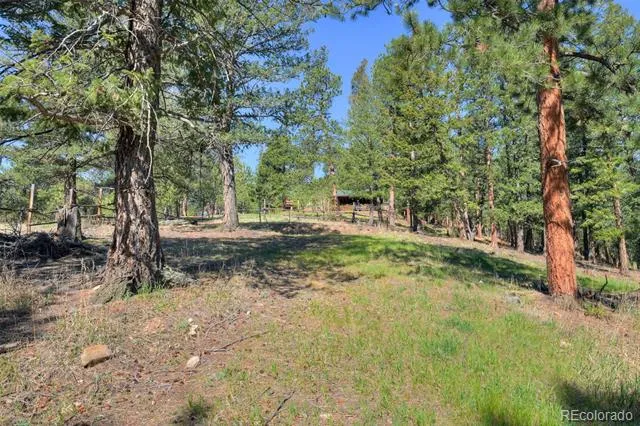 281 Kings Evergreen, CO 80439