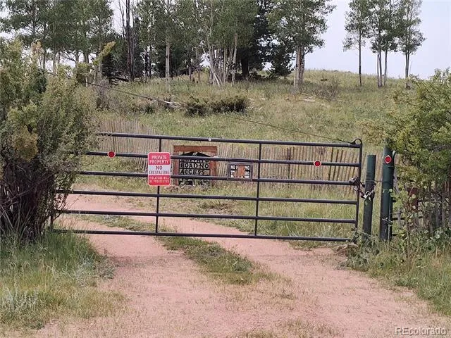 3154 CR 863 Victor, CO 80860