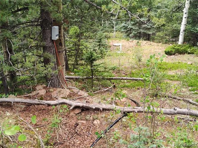 3154 CR 863 Victor, CO 80860
