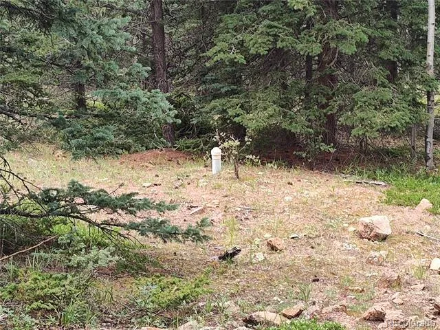 3154 CR 863 Victor, CO 80860