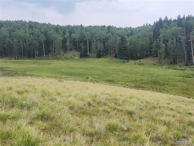 3154 CR 863 Victor, CO 80860