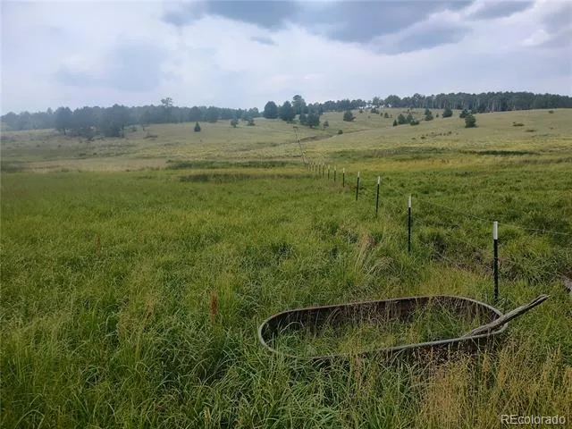 3154 CR 863 Victor, CO 80860