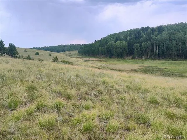 3154 CR 863 Victor, CO 80860