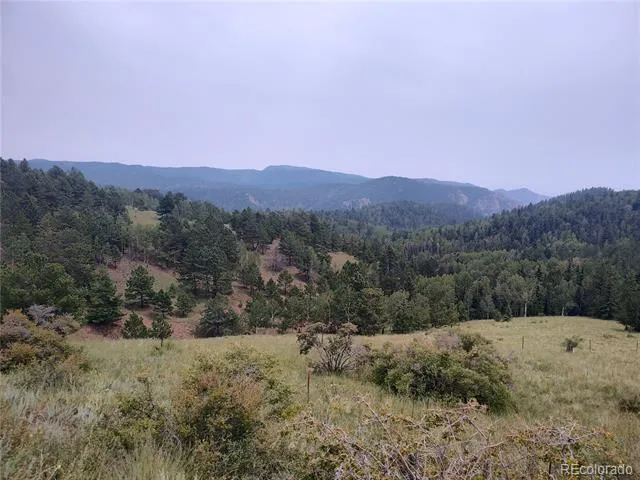 3154 CR 863 Victor, CO 80860