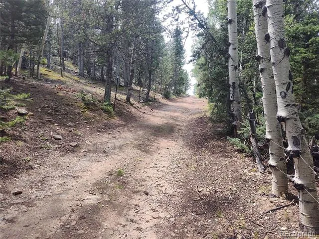 3154 CR 863 Victor, CO 80860