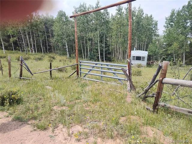 3154 CR 863 Victor, CO 80860