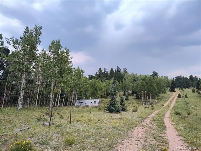 3154 CR 863 Victor, CO 80860