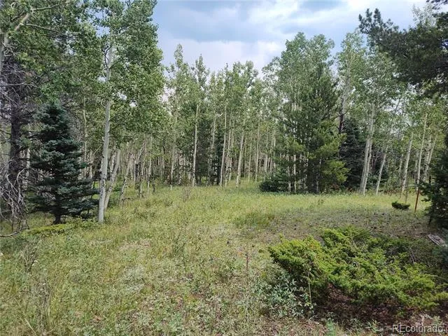 3154 CR 863 Victor, CO 80860