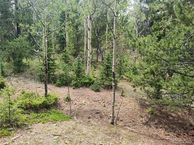 3154 CR 863 Victor, CO 80860