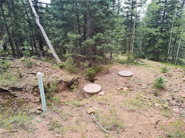 3154 CR 863 Victor, CO 80860