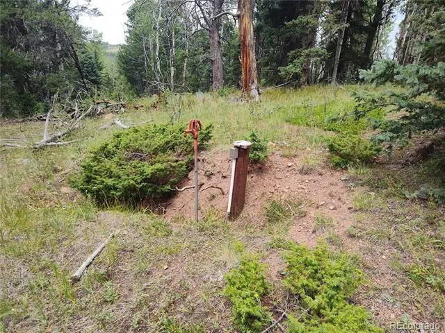 3154 CR 863 Victor, CO 80860
