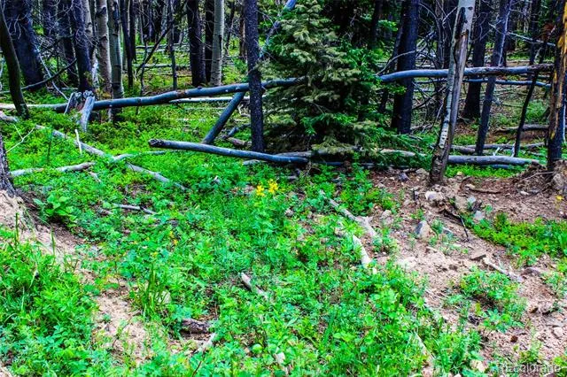 Address Not Shown Black Hawk, CO 80422
