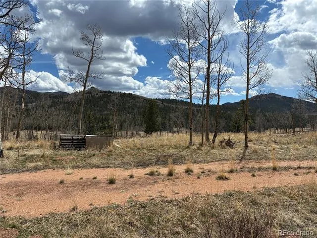 12201 S State Highway 67 Cripple Creek, CO 80813