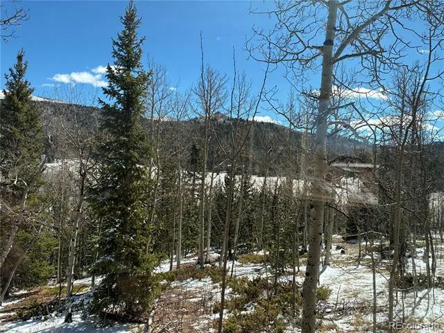 12201 S State Highway 67 Cripple Creek, CO 80813