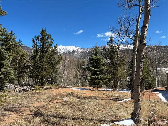 12201 S State Highway 67 Cripple Creek, CO 80813