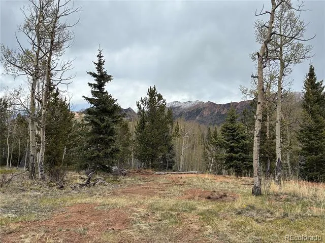 12201 S State Highway 67 Cripple Creek, CO 80813
