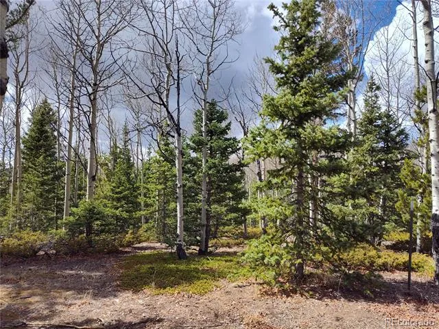 12201 S State Highway 67 Cripple Creek, CO 80813