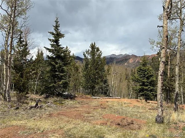 12201 S State Highway 67 Cripple Creek, CO 80813