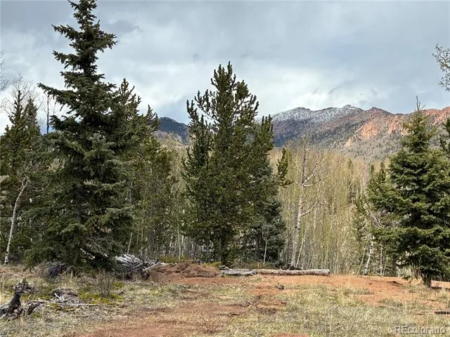 12201 S State Highway 67 Cripple Creek, CO 80813