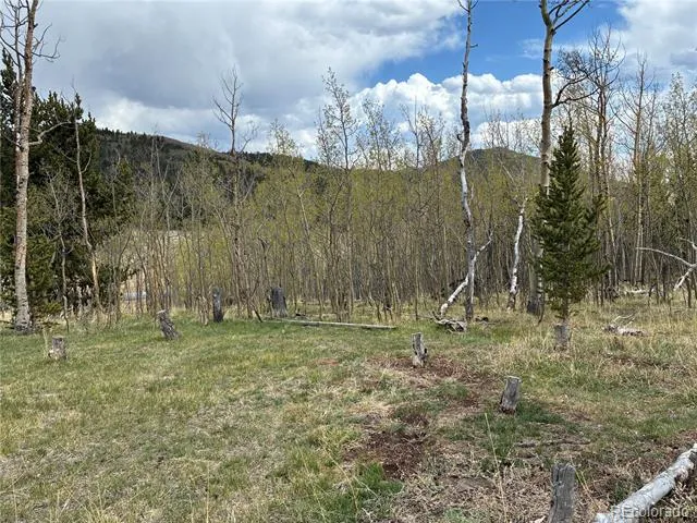 12201 S State Highway 67 Cripple Creek, CO 80813
