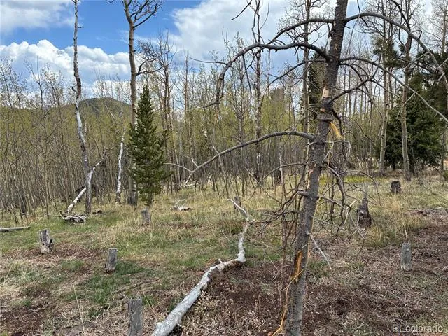 12201 S State Highway 67 Cripple Creek, CO 80813
