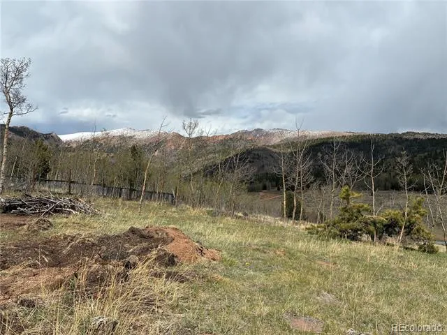 12201 S State Highway 67 Cripple Creek, CO 80813