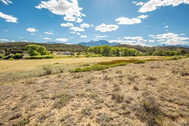 24269 River Rock Lane Buena Vista, CO 81211