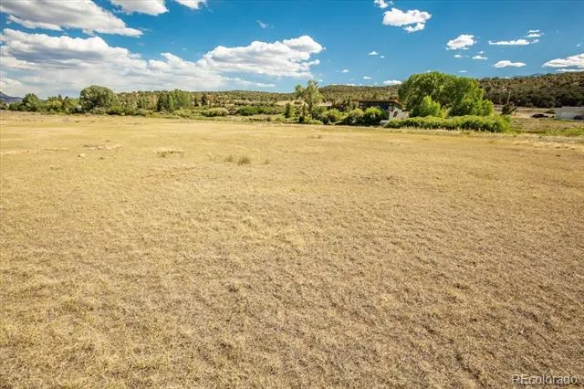 24269 River Rock Lane Buena Vista, CO 81211