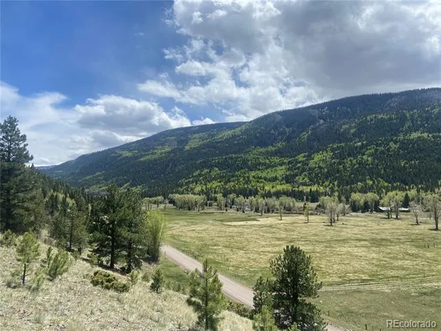 TBD FSR 250 Antonito, CO 81120