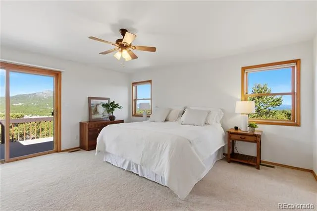 90 Riggs Road Westcliffe, CO 81252