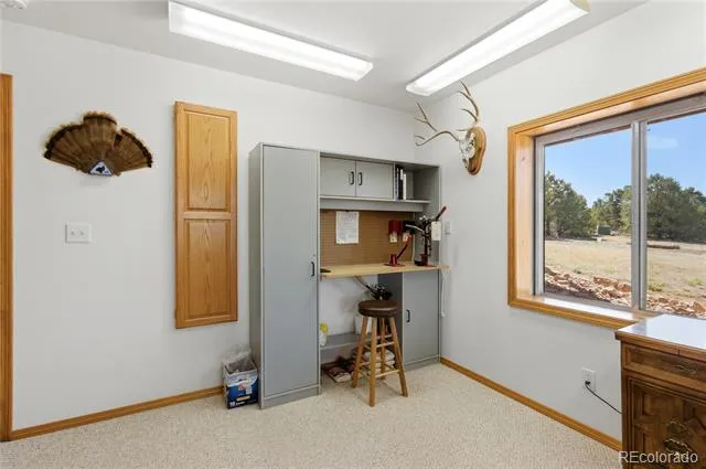 90 Riggs Road Westcliffe, CO 81252