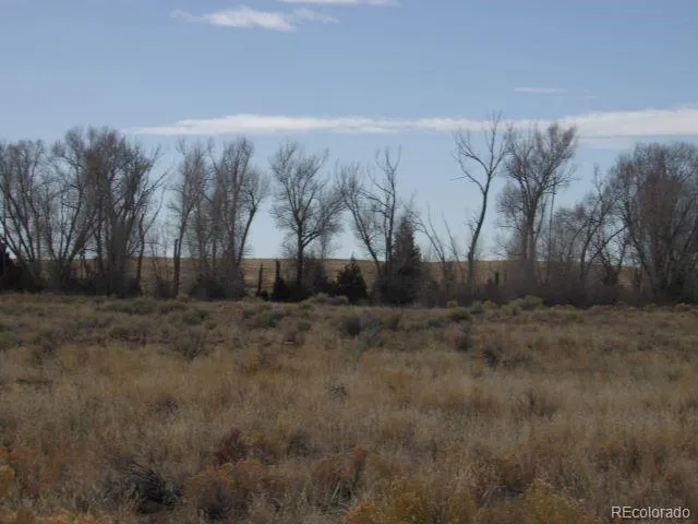 387 Staghorn Road Saguache, CO 81131