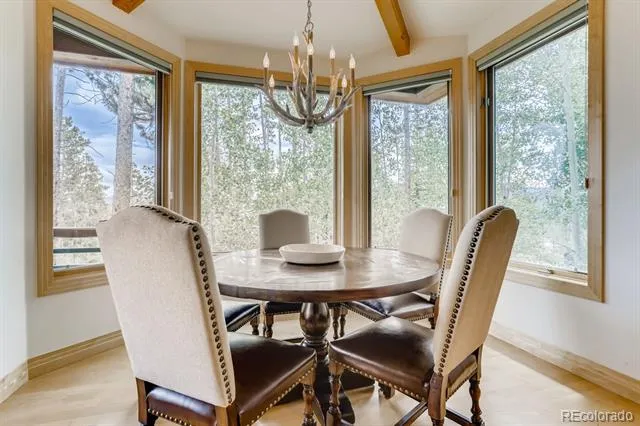 113 Primrose Place Frisco, CO 80443