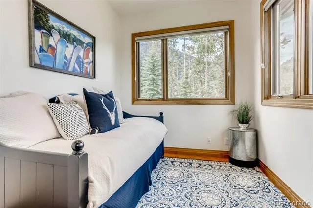 113 Primrose Place Frisco, CO 80443