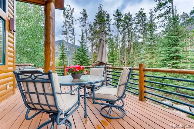 113 Primrose Place Frisco, CO 80443