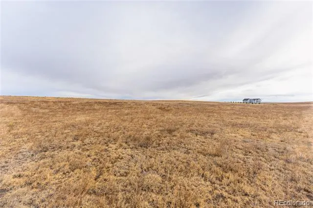 3235 Antelope Hill View Peyton, CO 80831