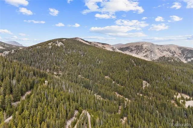 773 Harris Circle Idaho Springs, CO 80452